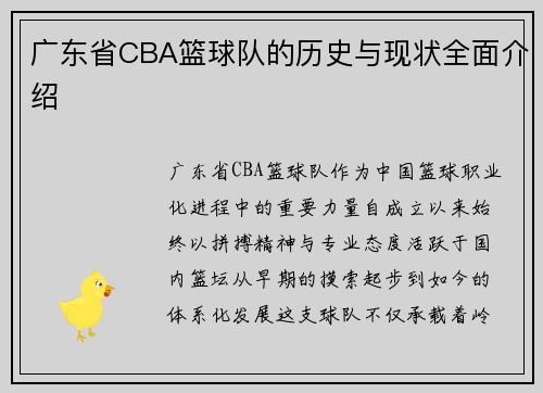 广东省CBA篮球队的历史与现状全面介绍