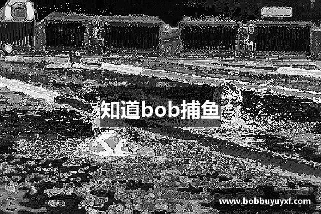 知道bob捕鱼